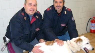 I due agenti della Stradale con il cane salvato
