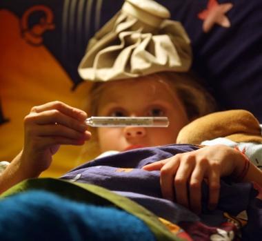 Il virus che costringe a letto &egrave; lo stesso del 2010 