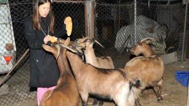 Sabrina Barsotti insieme alle capre che ospita nel suo grande giardino