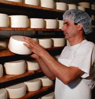 <b>PECORINO.</b> La stagionatura 