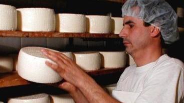 <b>PECORINO.</b> La stagionatura