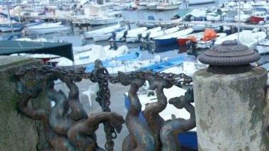 <b>COM’ERA </b>I delfini in ghisa tolti nel 2008 per essere ristrutturati