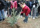 Si piantano 185 nuovi alberi