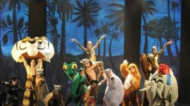 Stasera al Politeama arriva il musical “Il libro della giungla”