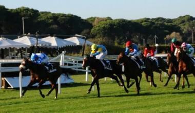 Ippodromo, oggi a San Rossore cavalli in pista; a gennaio non si sa
