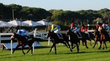 Ippodromo, oggi a San Rossore cavalli in pista; a gennaio non si sa