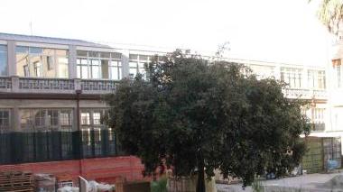 Cantieri aperti in ospedale
