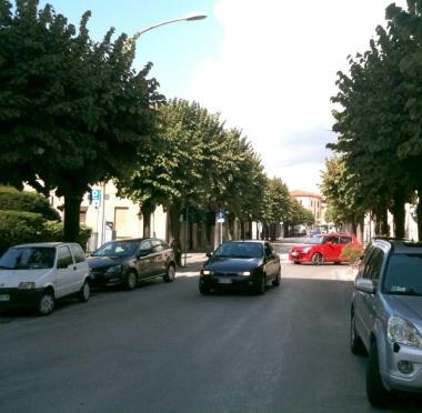 <b>LAVORI PUBBLICI.</b> Lassessore Antonio Cetraro E sopra via Colombo a Follonica 