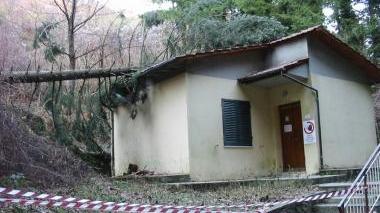 Il grosso abete caduto sul tetto dell’ambulatorio