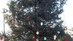 Oltre 2000 cd per l'albero ecologico