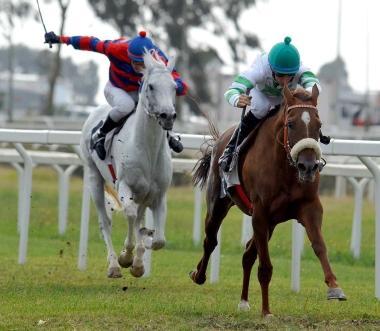 <b>GALOPPO</b> Una corsa allippodromo del Casalone   