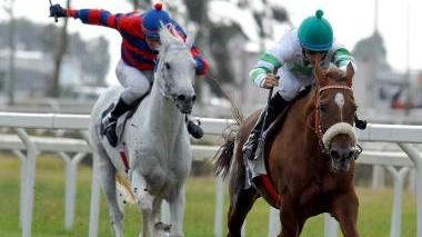 <b>GALOPPO</b> Una corsa all’ippodromo del Casalone