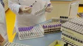 Il tour delle provette è ormai una realtà