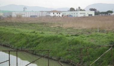 Riorganizzazione della zona produttiva di Migliarino