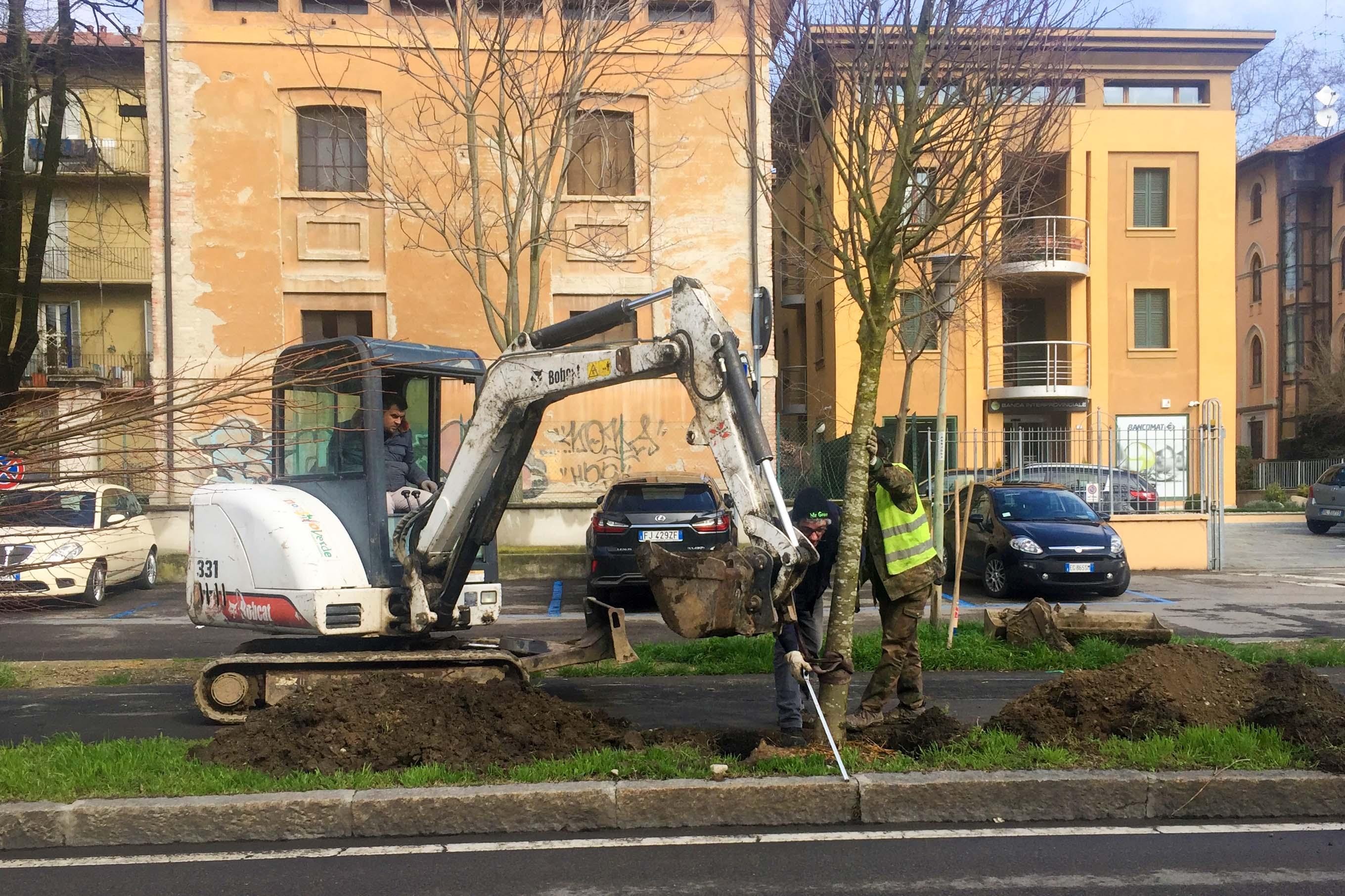 La massa in posa di alberi a Reggio Emilia
