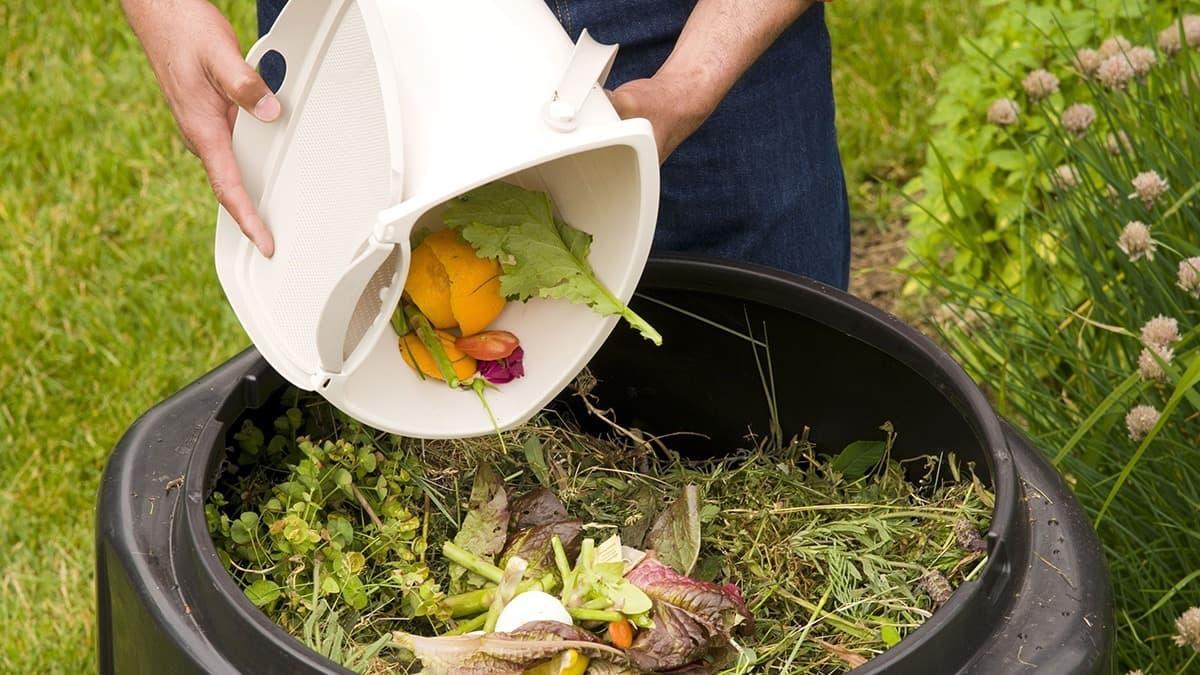 Biomateriali dagli insetti: a Modena ricerca europea 