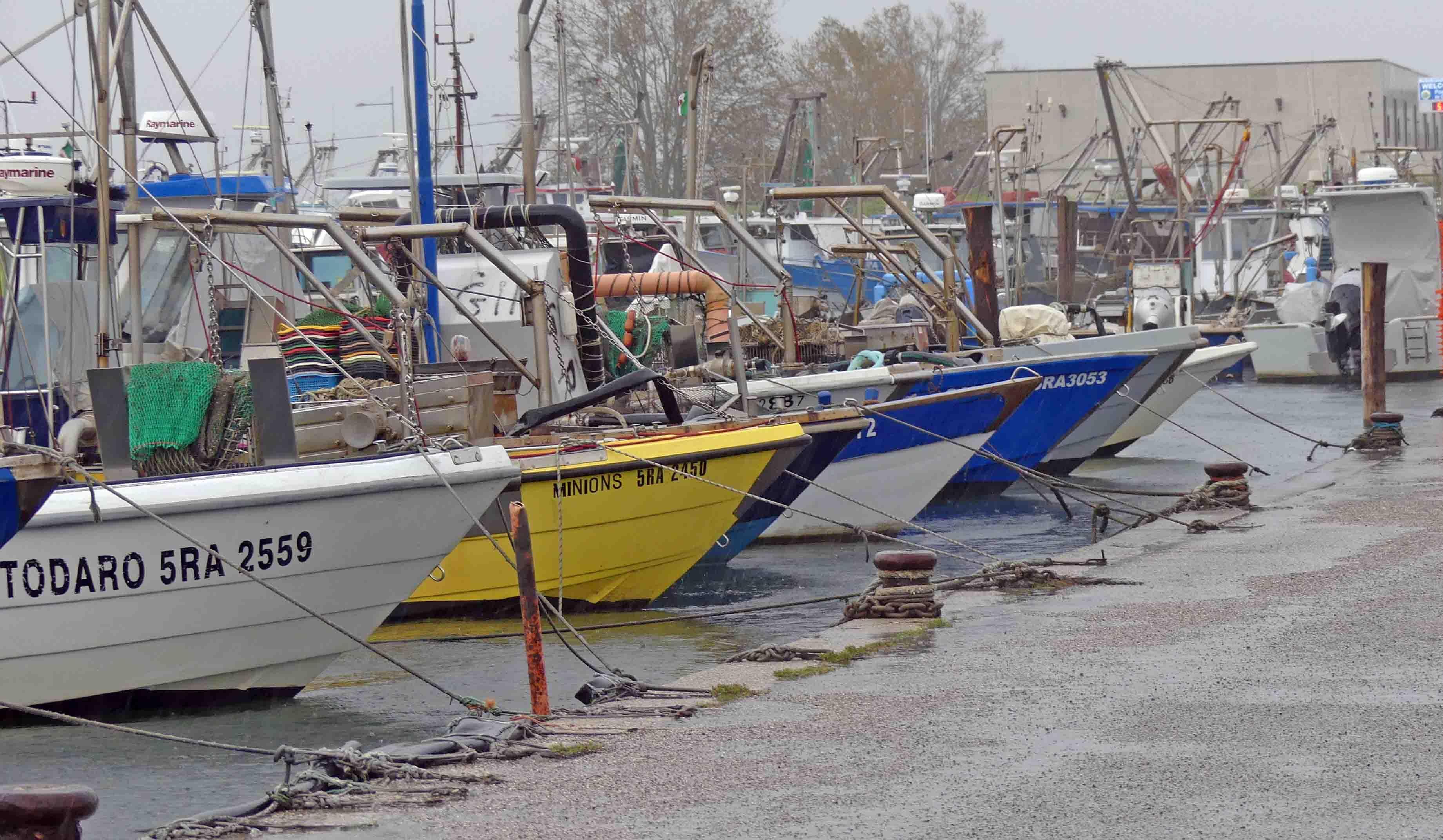 Pescherecci al porto di Goro