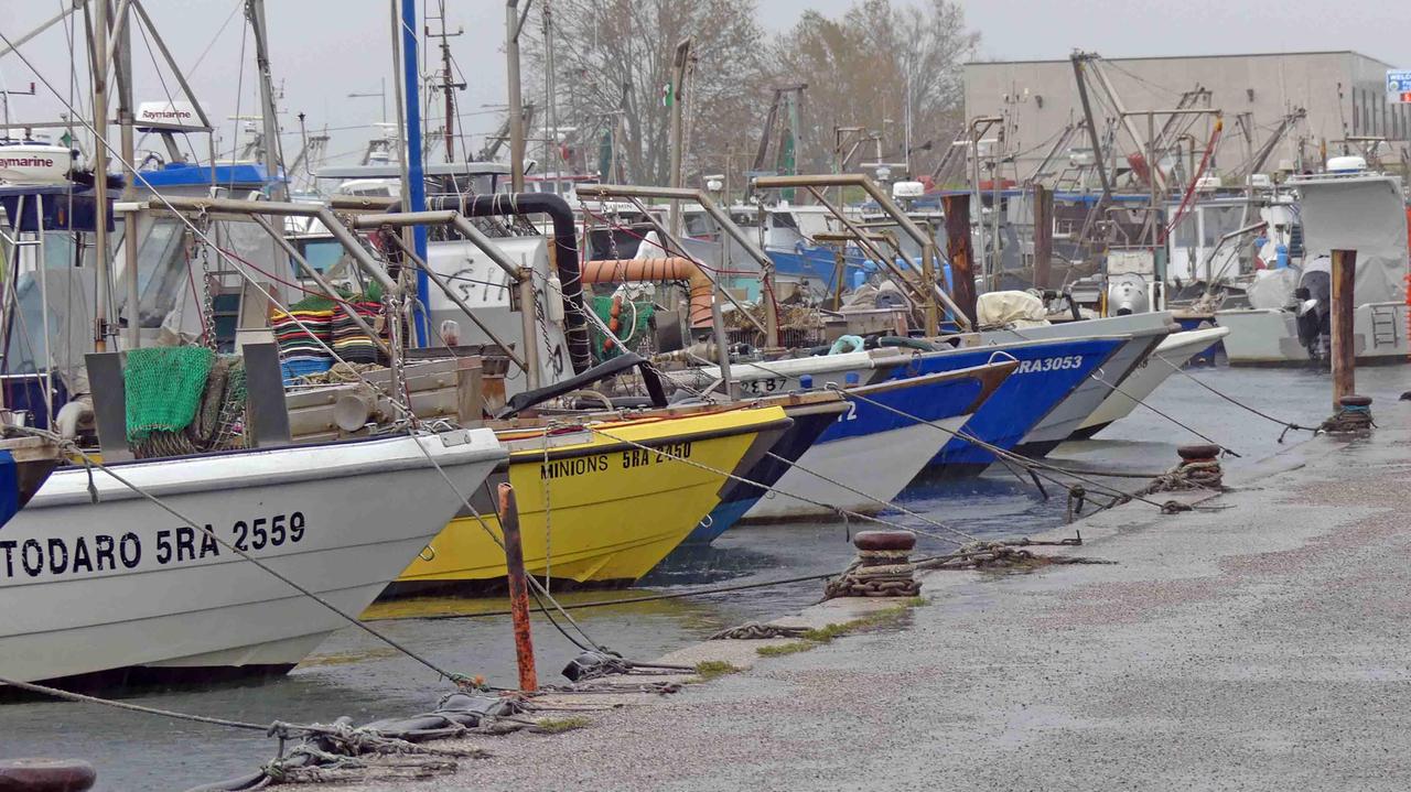 Pescherecci al porto di Goro