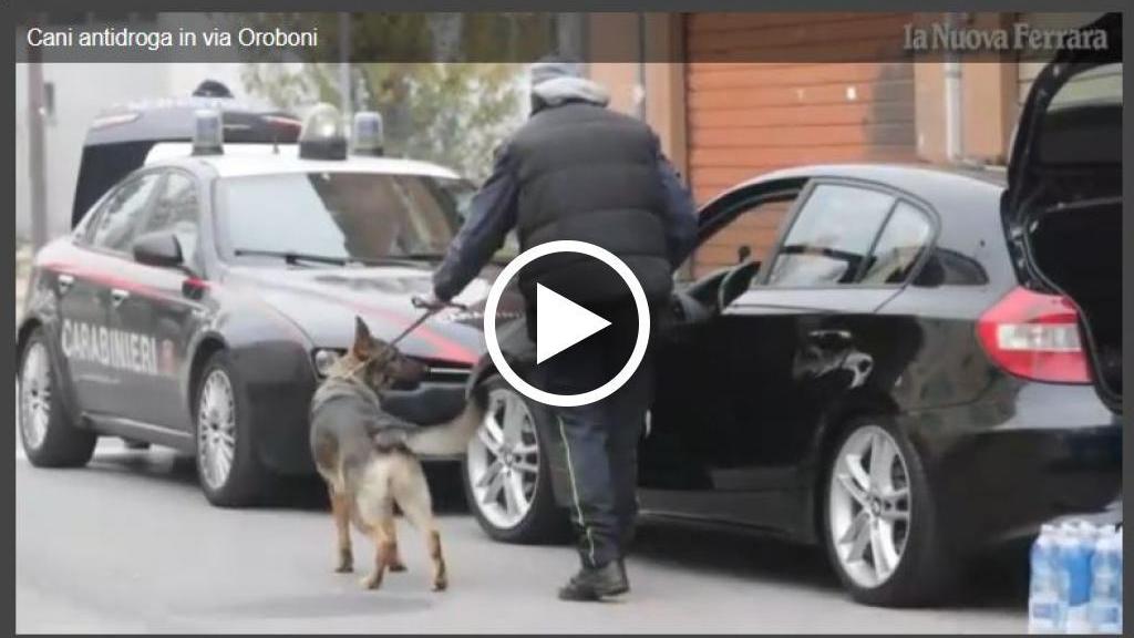 Ferrara, cani antidroga in via Oroboni