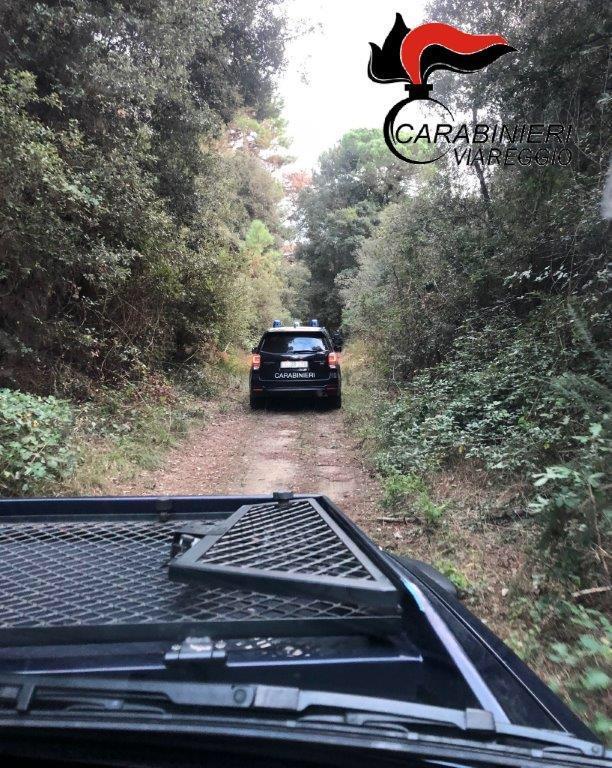 Smantellata la gang dello spaccio in pineta, minacciavano i clienti con una pistola