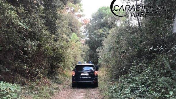 Smantellata la gang dello spaccio in pineta, minacciavano i clienti con una pistola