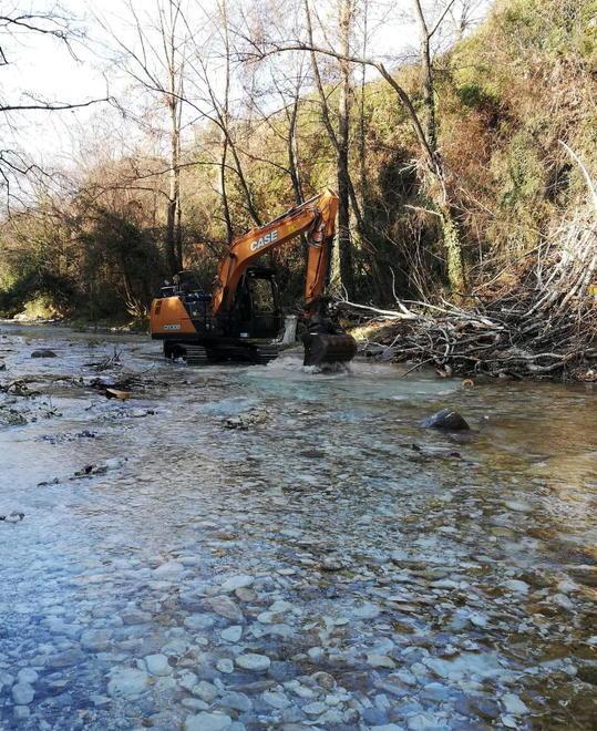 Il Consorzio rimuove alberi dal Frigido