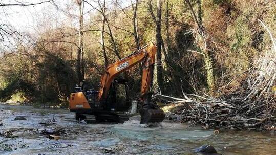 Il Consorzio rimuove alberi dal Frigido