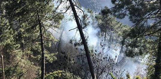Dà fuoco a sterpaglie e provoca un incendio denunciato dai forestali