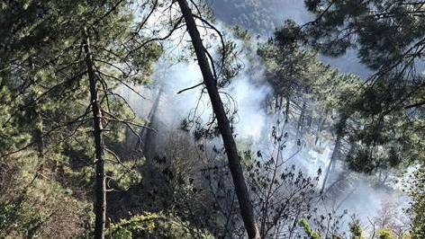 Dà fuoco a sterpaglie e provoca un incendio denunciato dai forestali