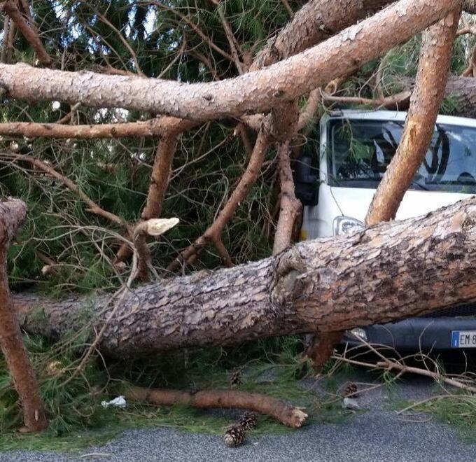  Comune condannato a pagare per i danni della tempesta
