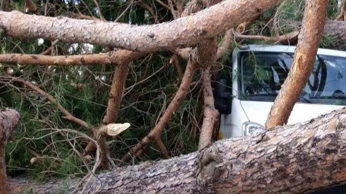 Comune condannato a pagare per i danni della tempesta