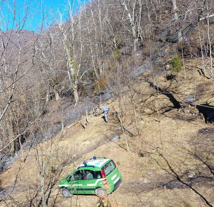 Bosco in fiamme a Piazza per un falò incontrollato 