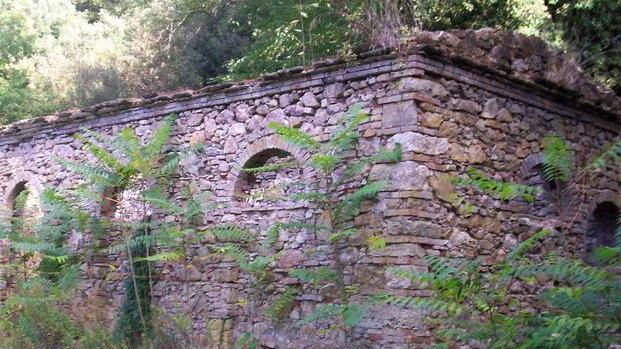 Una zona pic nic nel Parco di Montioni