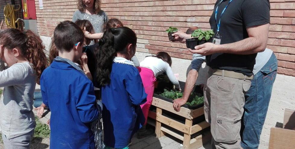 Prato, crolla la natalità tra gli stranieri. Meno bambini alle elementari 