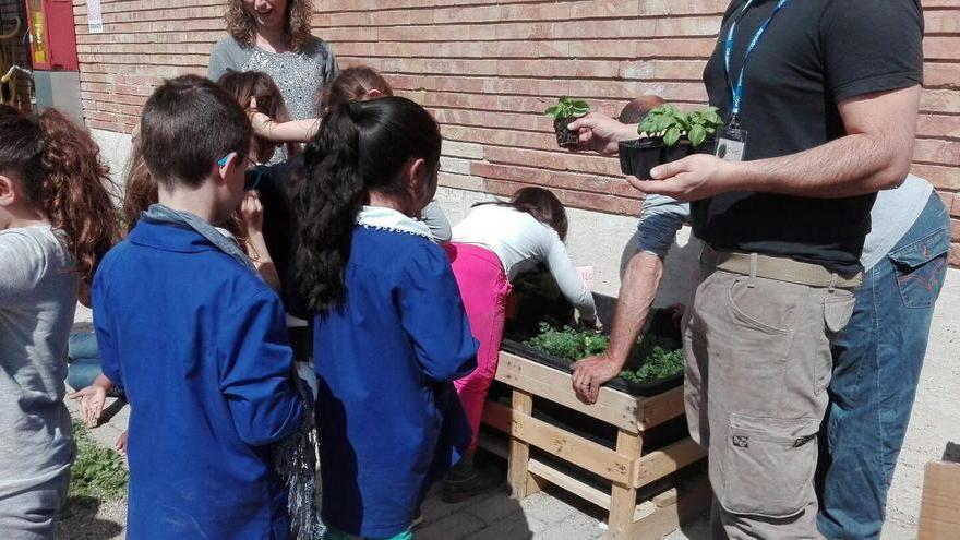 Prato, crolla la natalità tra gli stranieri. Meno bambini alle elementari