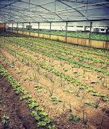 Biodinamica, giornata per gli agricoltori