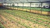 Biodinamica, giornata per gli agricoltori