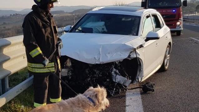 Sbanda con l’auto e resta ferito, illeso il cane