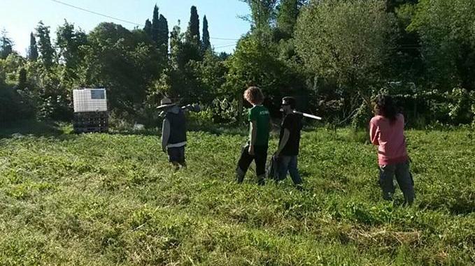 In calo le imprese giovanili ma non nel settore agricolo