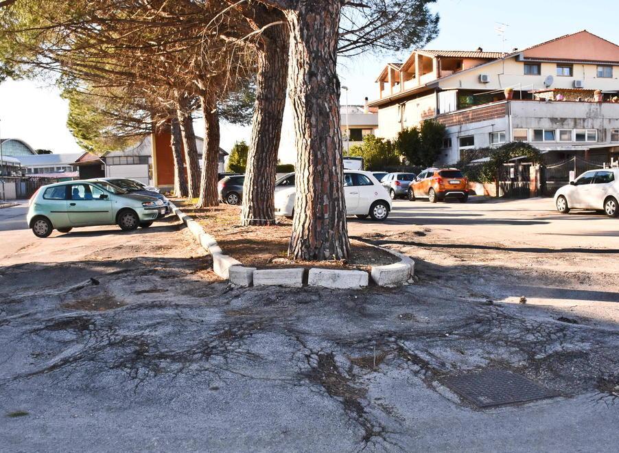 Pini e asfalto crepato «Venite in largo Sacco per un sopralluogo»