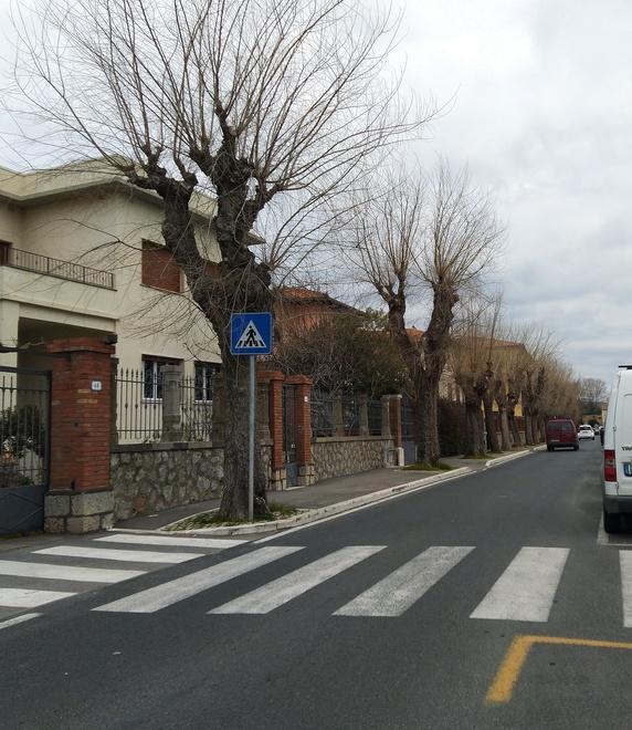 Acquedotto del Fiora sistema l’asfalto di via del Campone 