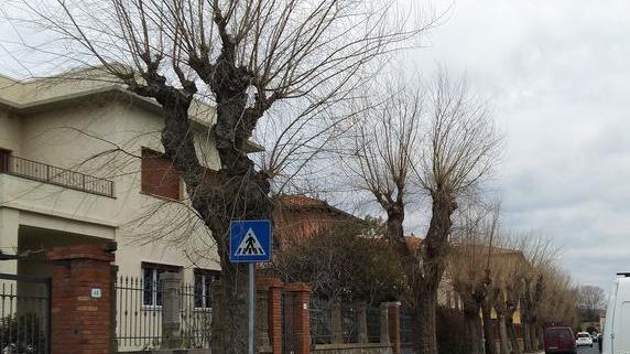 Acquedotto del Fiora sistema l’asfalto di via del Campone