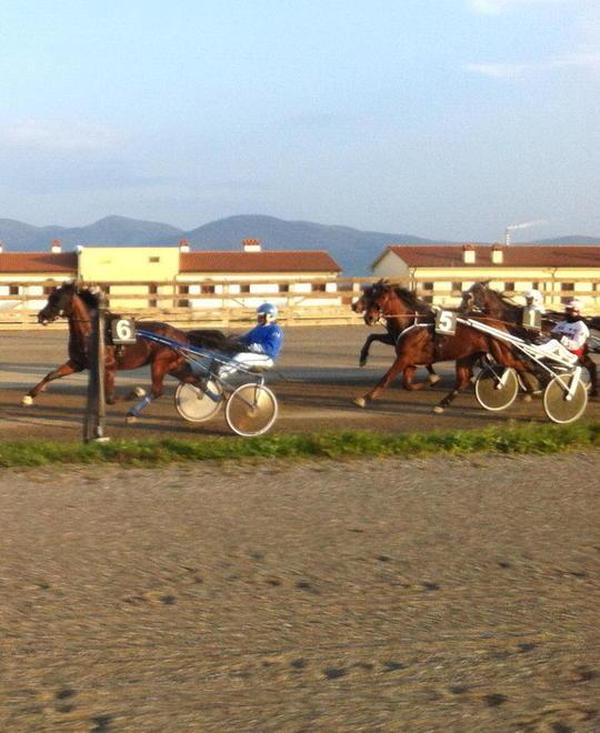 All’ippodromo dei Pini tornano le corse al trotto