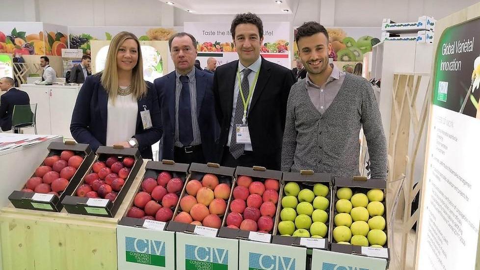 Da Berlino a Rotterdam Civ, più forza all’estero