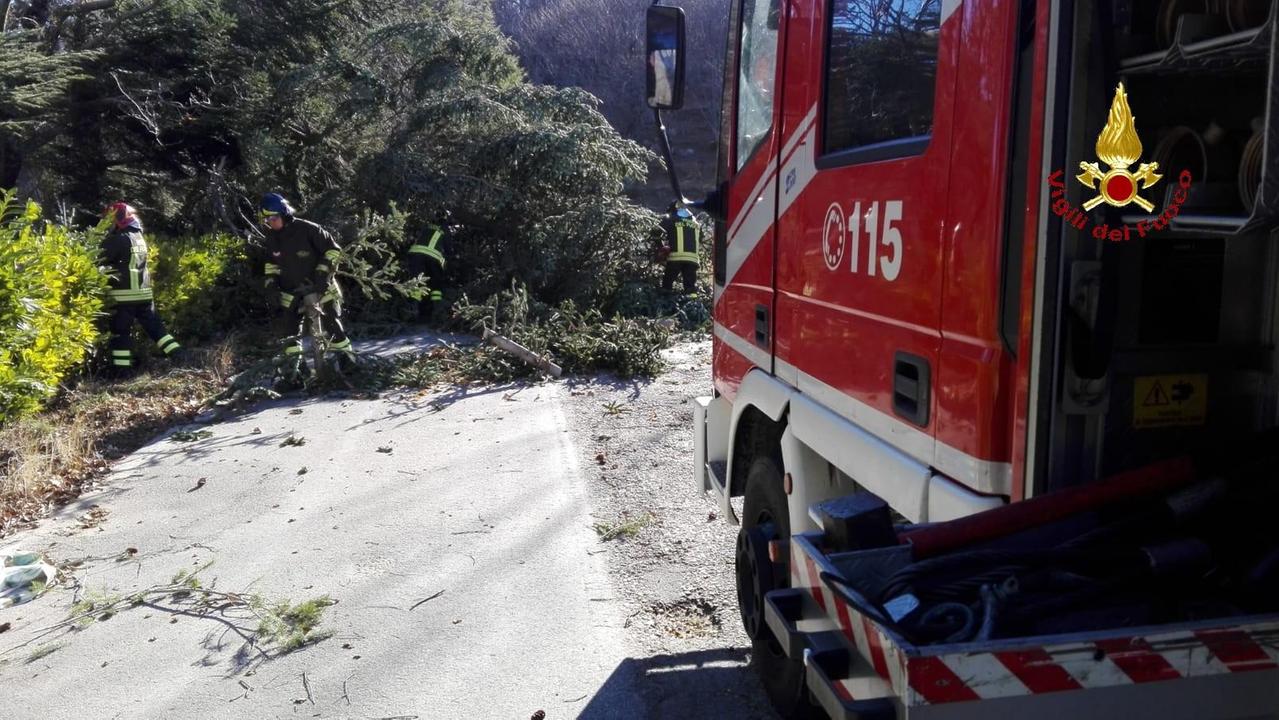 Vento forte, danni sull'Amiata