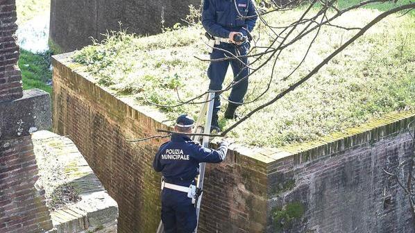 I legali all’attacco sulla dinamica e sulle resposabilità dei turisti caduti