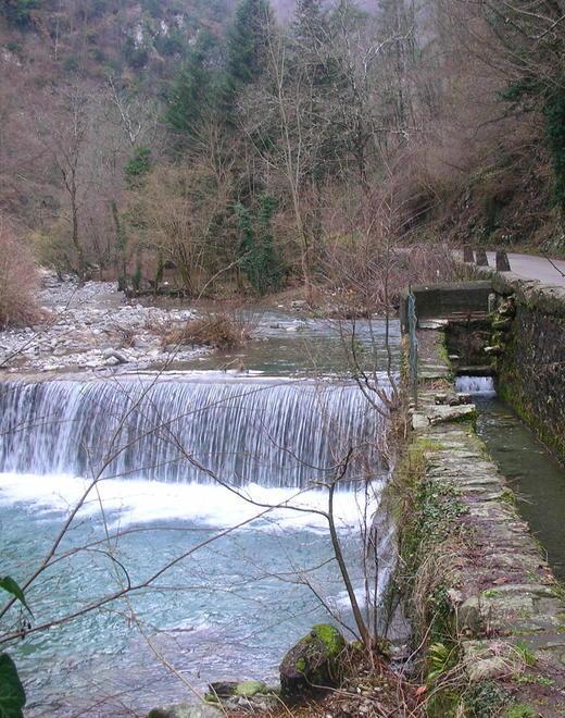Trote Fario e avannotti: il torrente Turrite Cava sarà così ripopolato