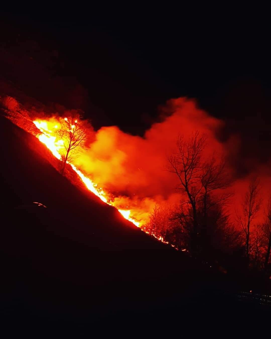 A fuoco bosco in Alta Versilia: non si esclude il dolo