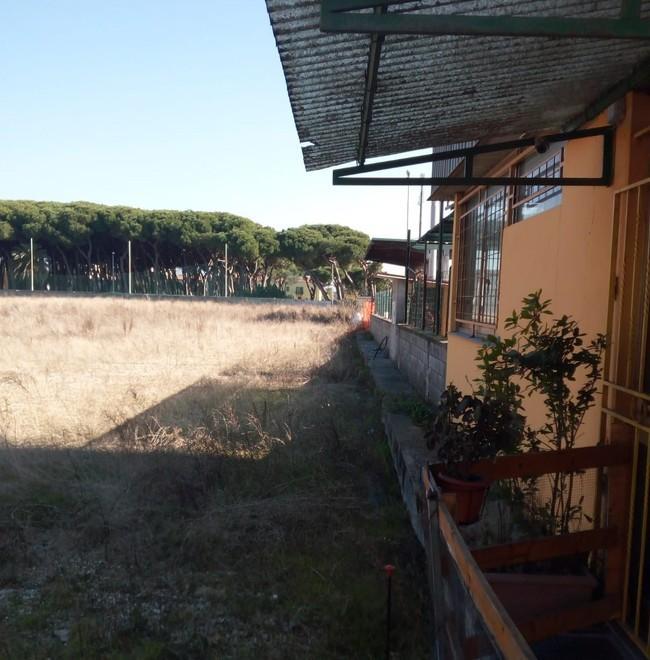 «Raccolta fondi, incontri e tornei sportivi per lo stadio dei Pini»