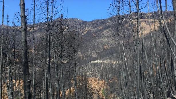 A corsa e a passeggio sul Serra non solo per i ragazzi del Vega10